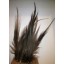 10x natural heron feathers