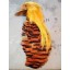 Golden Pheasant HEAD CAPE