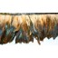 half bronze coque Feather Fringe 4-6inch drop