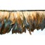 half bronze hackle Feather Fringe 2-4inch drop