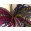 dyed Lady Amethyst Pheasant center tail