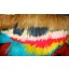 Dyed Hackle Feather Fringe