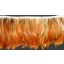 Red Hackle Feather Fringe