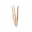 Ringneck Pheasant Feathers