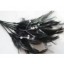 Wired diamond feather mount black