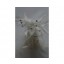 Wired diamond feather mount white