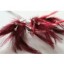 Wired diamond feather mount claret