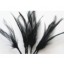 Wired feather mount black