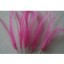 Wired feather mount hot pink