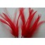 Wired feathers red