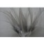 Wired feathers silver grey