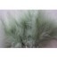 Wired fluffy feather mount mint green