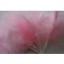 Wired fluffy feather mount baby pink