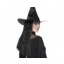 witch wig long 24inch
