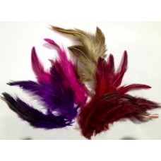 Dyed Jungle Cock Feathers