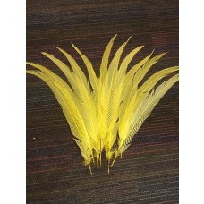 yellow dyed massive silver pheasant feathers