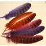 bag dyed pheasant wing feathers