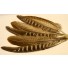 bag of hen pheasant wing feathers