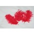 chick ostrich feathers all colours