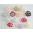 Diamante Ribbon Roses all colours