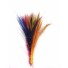 Dyed Peacock feather sword all colours