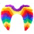 Feather wings rainbow pride color