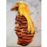 Golden Pheasant HEAD CAPE