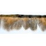 Guinea fowl Feather Fringe