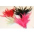 hackle biot feather millinary mount