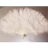 ivory feather fan