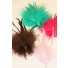 marabou/biot mount