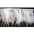 Ostrich feather floaty Fringe white