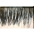 Ostrich feather floaty Fringe black