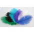 ostrich plume feather 8-10inch all colours
