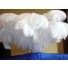 ostrich plume feather 24-26inch all colours