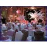 Ostrich Feather massive Centerpiece