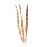 Ringneck Pheasant Feathers