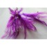 Wired diamond feather mount plum