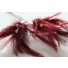 Wired diamond feather mount claret