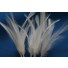 Wired feather mount ivory