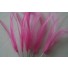 Wired feather mount hot pink