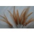 Wired feathers beige