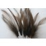 Wired feathers brown