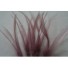 Wired feathers dusty pink