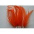 Wired feathers orange