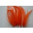 Wired feathers orange