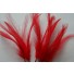 Wired feathers red