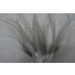 Wired feathers silver grey