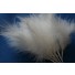 Wired fluffy feather mount white
