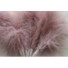 Wired fluffy feather mount dusty pink